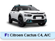 Cactus C4